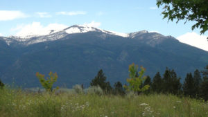 Homeopathic Montana Retreat View